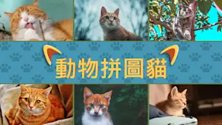 动物拼图猫