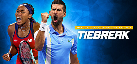 决胜局：ATP 和 WTA 的官方比赛