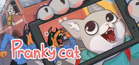 顽皮的猫