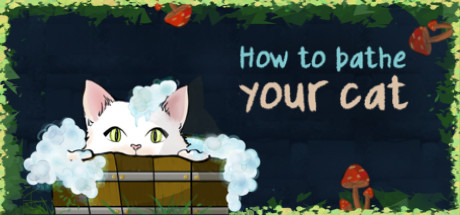如何给你的猫洗澡